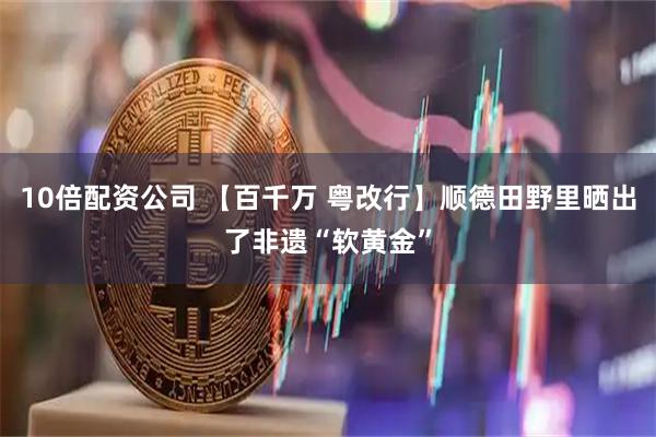 10倍配资公司 【百千万 粤改行】顺德田野里晒出了非遗“软黄金”